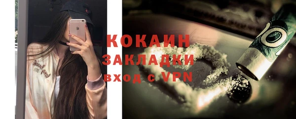 стаф Богданович