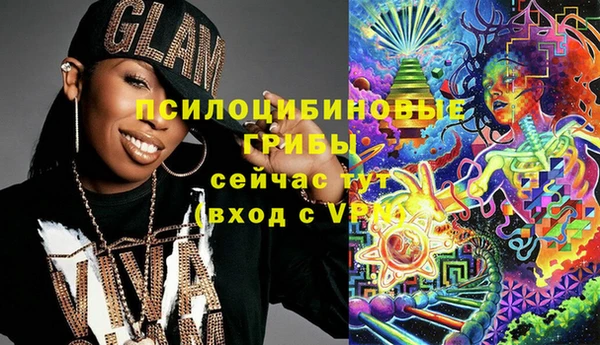 стаф Богданович