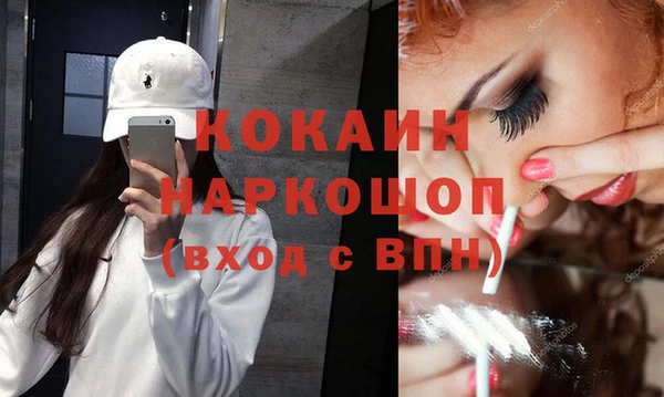 стаф Богданович