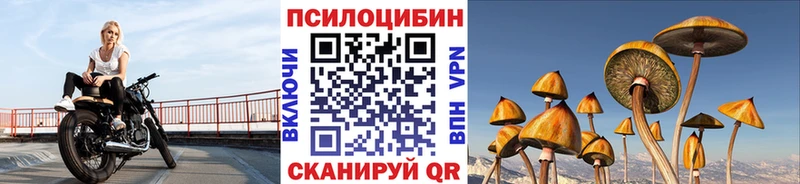 цены   Тимашёвск  Псилоцибиновые грибы мицелий 